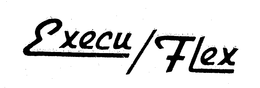 EXECU/FLEX logo