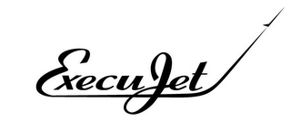EXECUJET logo