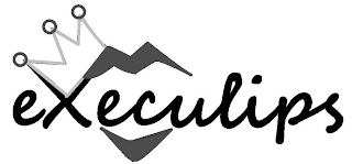 EXECULIPS logo