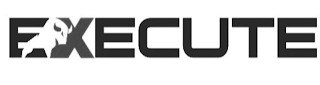 EXECUTE logo