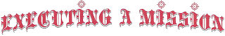 EXECUTING A MISSION logo