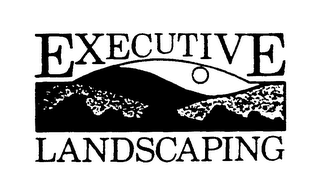 EXECUTIVE LANDSCAPING logo