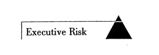 EXECUTIVE RISK logo