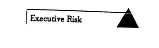 EXECUTIVE RISK logo