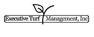 EXECUTIVE TURF MANAGEMENT, INC. logo