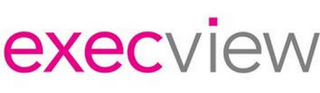 EXECVIEW logo