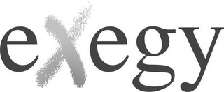 EXEGY logo