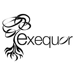 EXEQUOR logo
