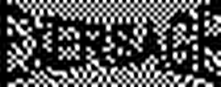 EXERSAGE logo