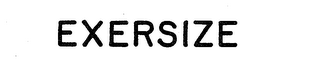 EXERSIZE logo