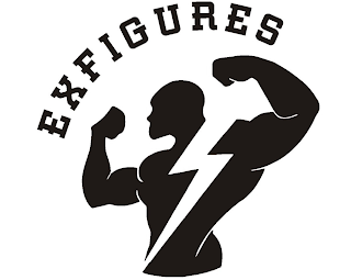 EXFIGURES logo