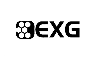 EXG logo