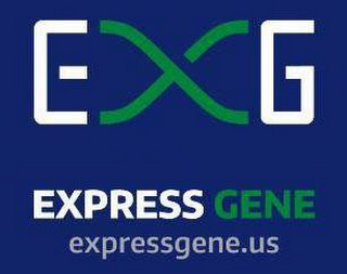 EXG EXPRESS GENE EXPRESSGENE.US logo
