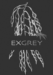 EXGREY logo