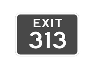 EXIT 313 logo