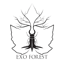 EXO FOREST logo