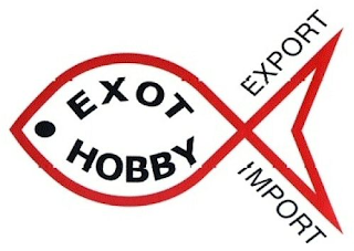 EXOT HOBBY EXPORT IMPORT logo