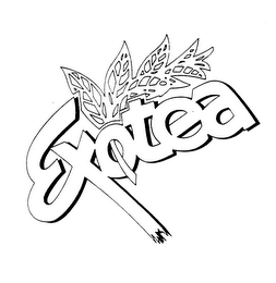 EXOTEA logo