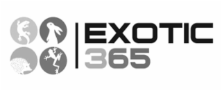 EXOTIC 365 logo