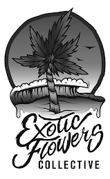 EXOTIC FLOWERS COLLECTIVE logo