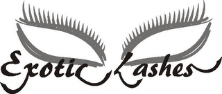 EXOTIC LASHES logo