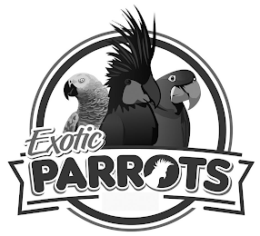 EXOTIC PARROTS logo
