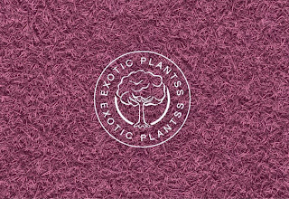 EXOTIC PLANTSS logo