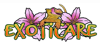 EXOTICARE logo