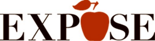 EXP SE logo