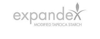 EXPANDEX MODIFIED TAPIOCA STARCH logo