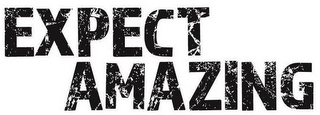 EXPECT AMAZING logo