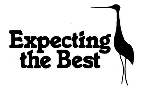 EXPECTING THE BEST logo
