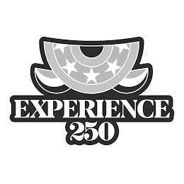 EXPERIENCE 250 logo