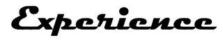 EXPERIENCE logo