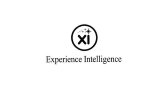EXPERIENCE INTELLIGENCE XI logo