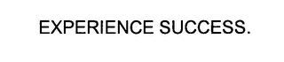 EXPERIENCE SUCCESS. logo