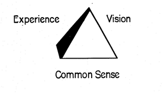 EXPERIENCE VISION COMMON SENSE logo