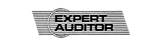 EXPERT AUDITOR logo