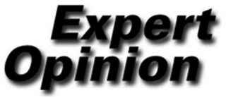 EXPERT OPINION logo