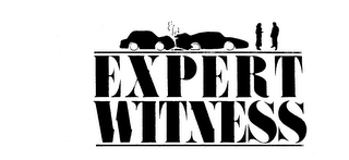 EXPERT WITNESS logo