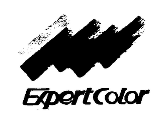EXPERTCOLOR logo