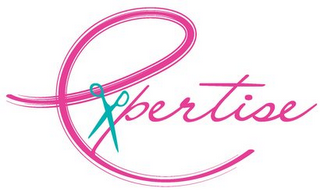 EXPERTISE logo