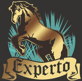 EXPERTO logo