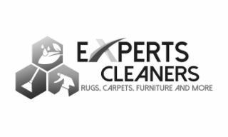 EXPERTS CLEANERS RUGS, CARPETS, FURNITURE AND MORE logo