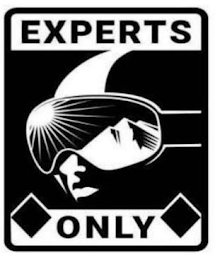 EXPERTS ONLY logo