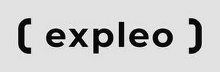 EXPLEO logo