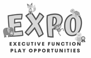 EXPO EXECUTIVE FUNCTION PLAY OPPORTUNITIES