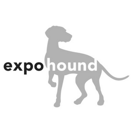 EXPOHOUND logo