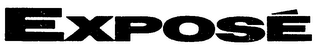 EXPOSE logo