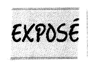EXPOSE logo